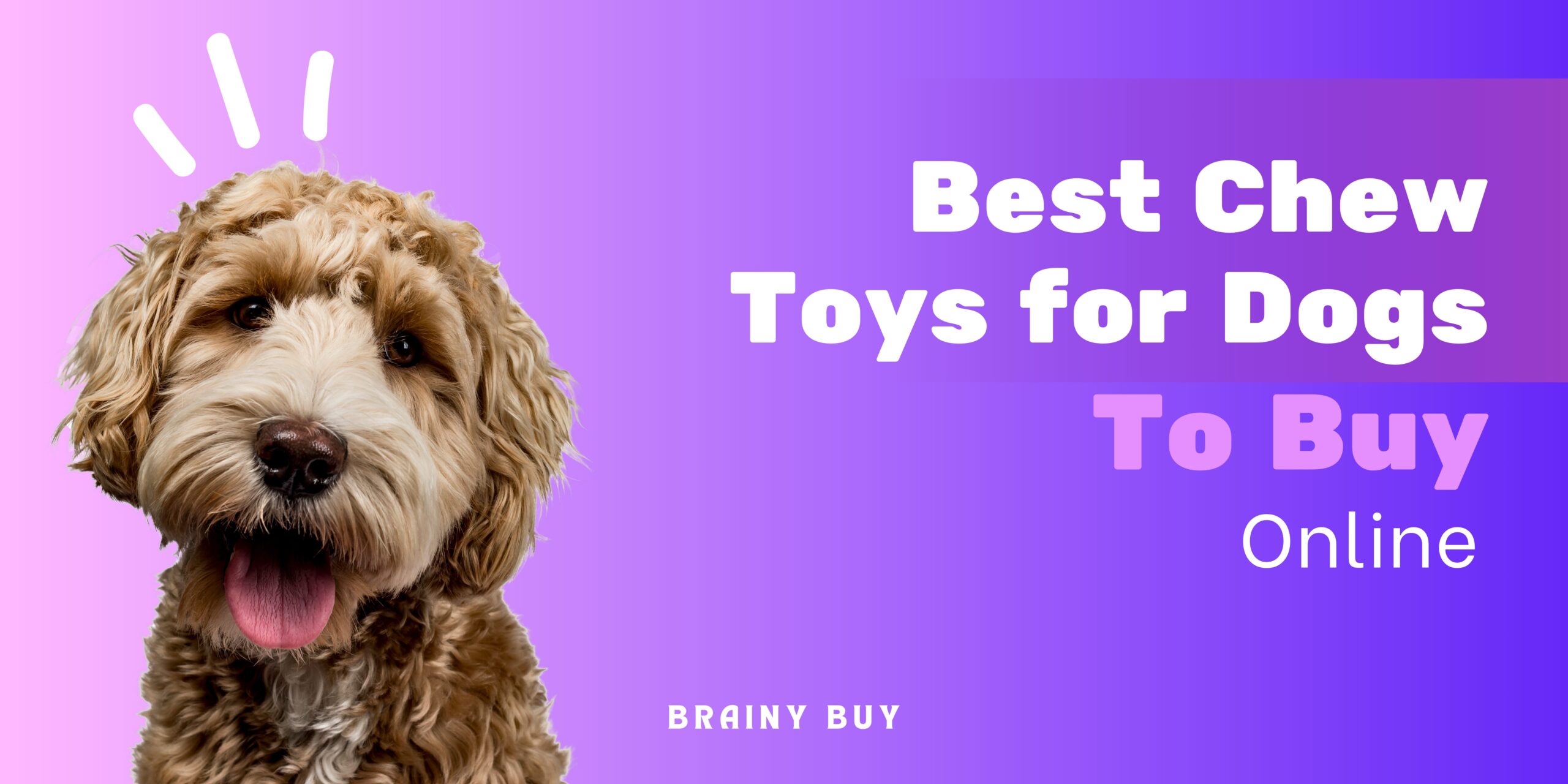 Best chew toys for puppies and dogs