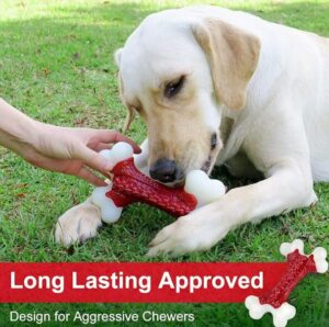 Chew Toys for Puppies and Dogs | recommended chew toys for puppies